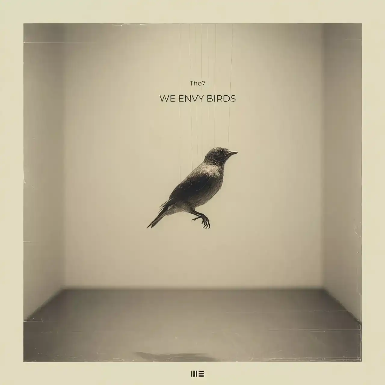We envy Birds